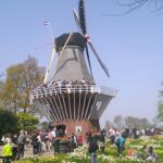 Windmill in Holland's Flower Festival